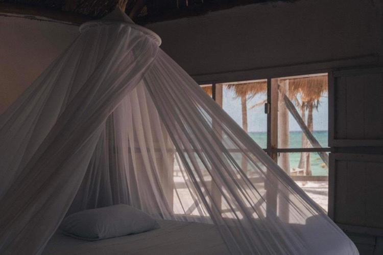 Cabanas Ecoturisticas Costa Maya Маауаль Екстер'єр фото