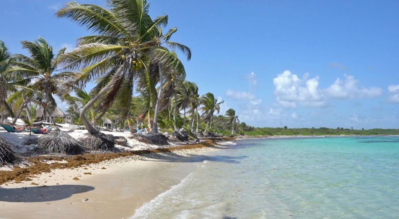 Cabanas Ecoturisticas Costa Maya Маауаль Екстер'єр фото